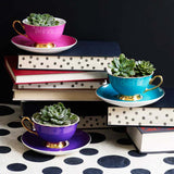 Bombay Duck Piccadilly Teacup & Saucer